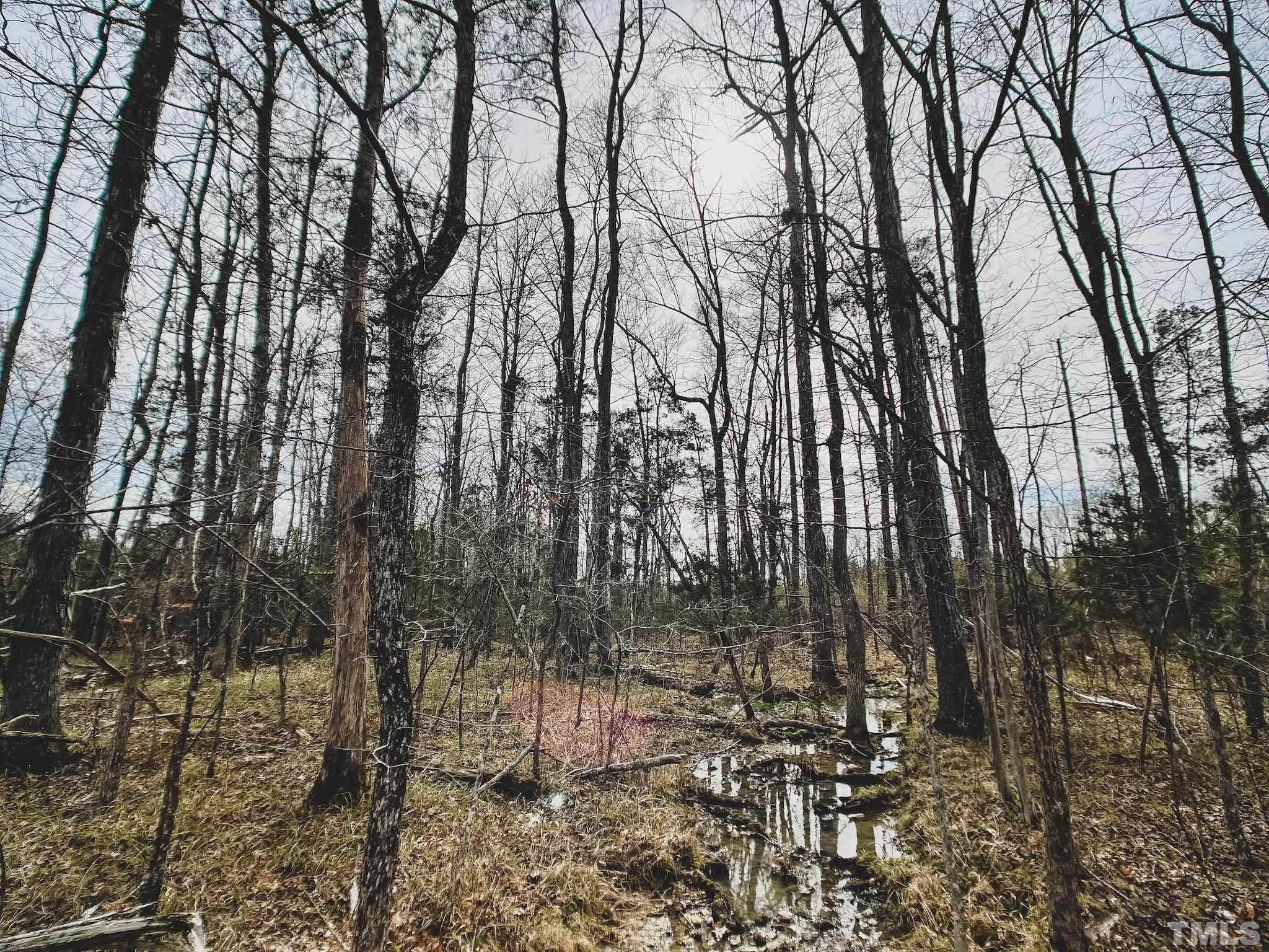 103-ac Pulliam-Tingen Mine Road Roxboro, NC 27574 - Photo 26 of 30 a view of yard