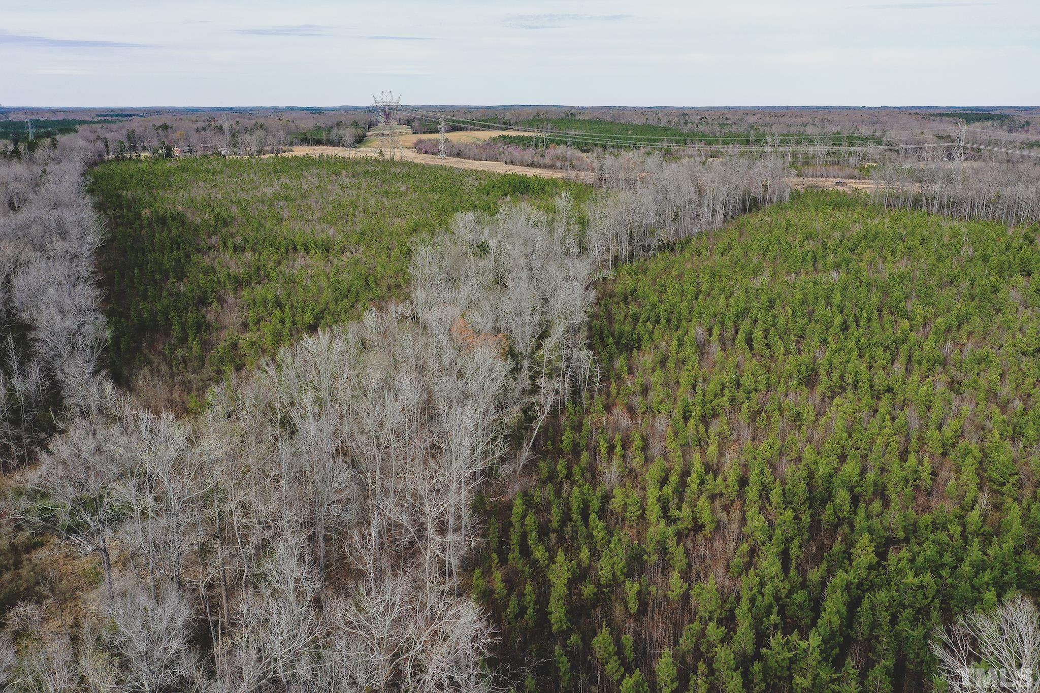 103-ac Pulliam-Tingen Mine Road Roxboro, NC 27574 - Photo 5 of 30 a view of a lake with a city