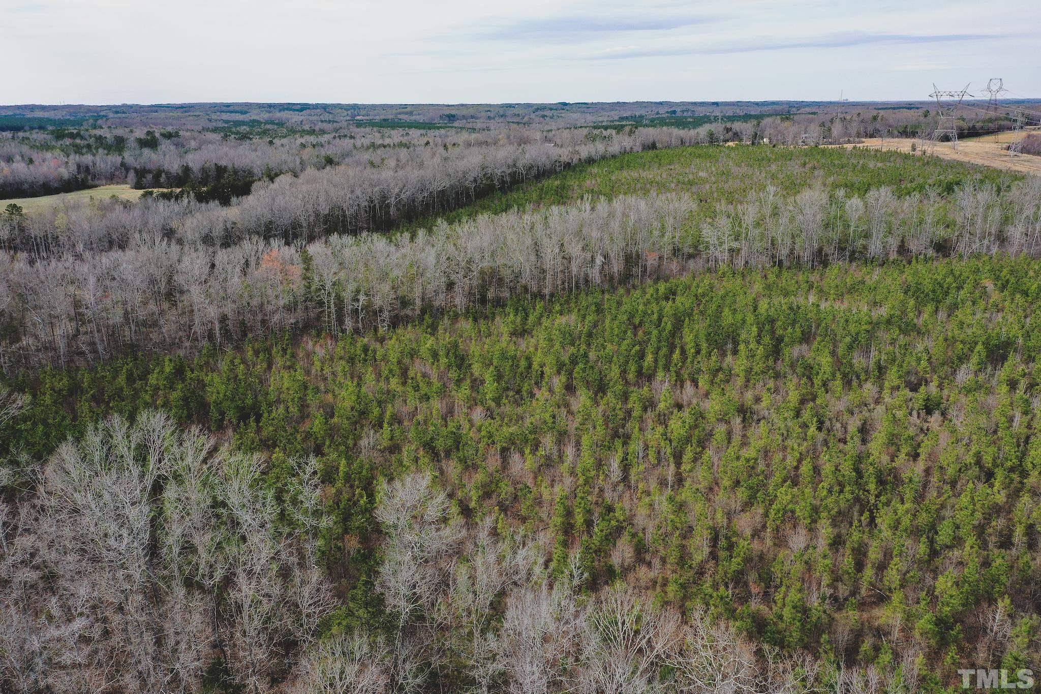 103-ac Pulliam-Tingen Mine Road Roxboro, NC 27574 - Photo 6 of 30 a view of a lush green field