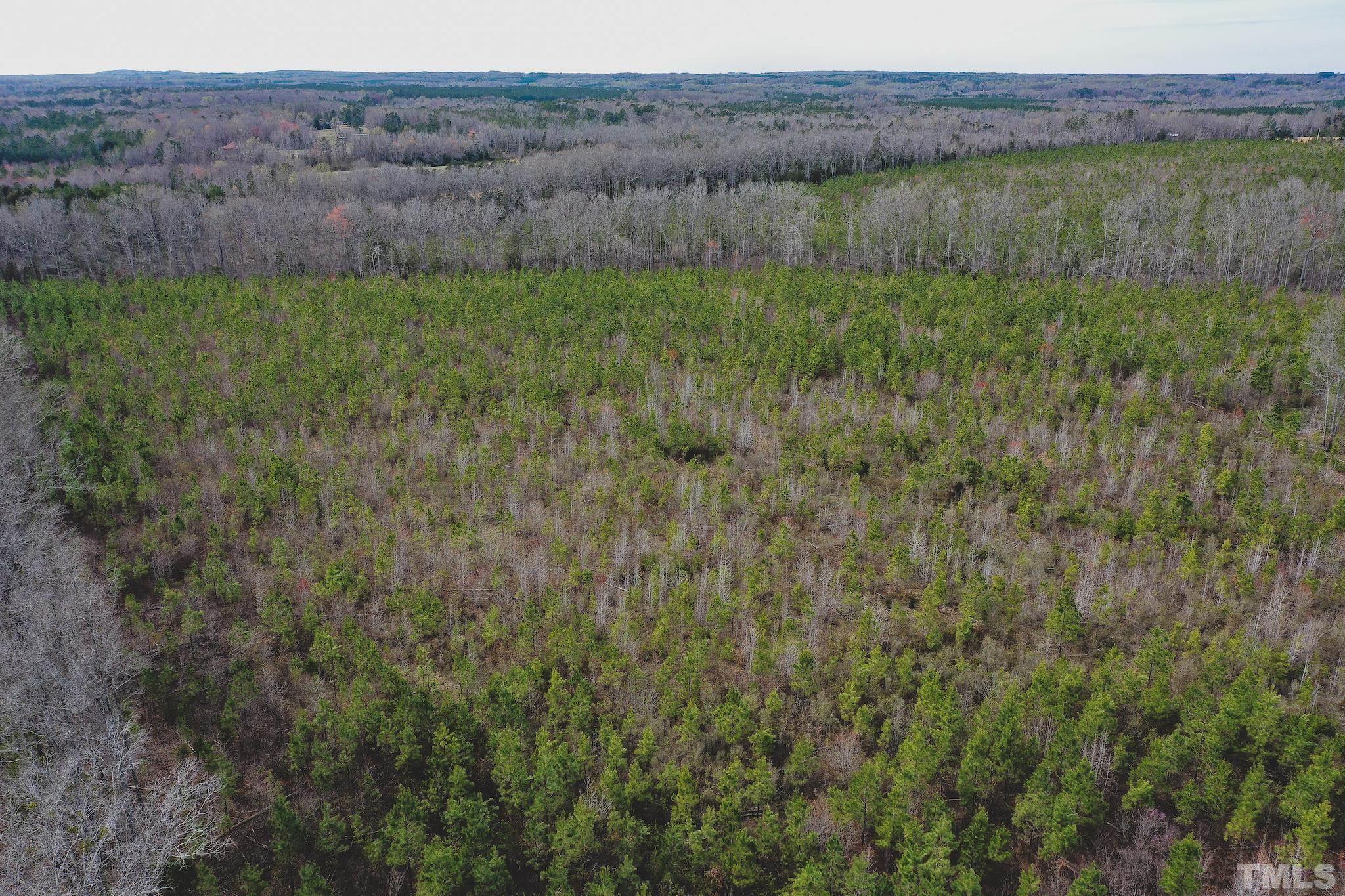 103-ac Pulliam-Tingen Mine Road Roxboro, NC 27574 - Photo 7 of 30 a view of a lush green field