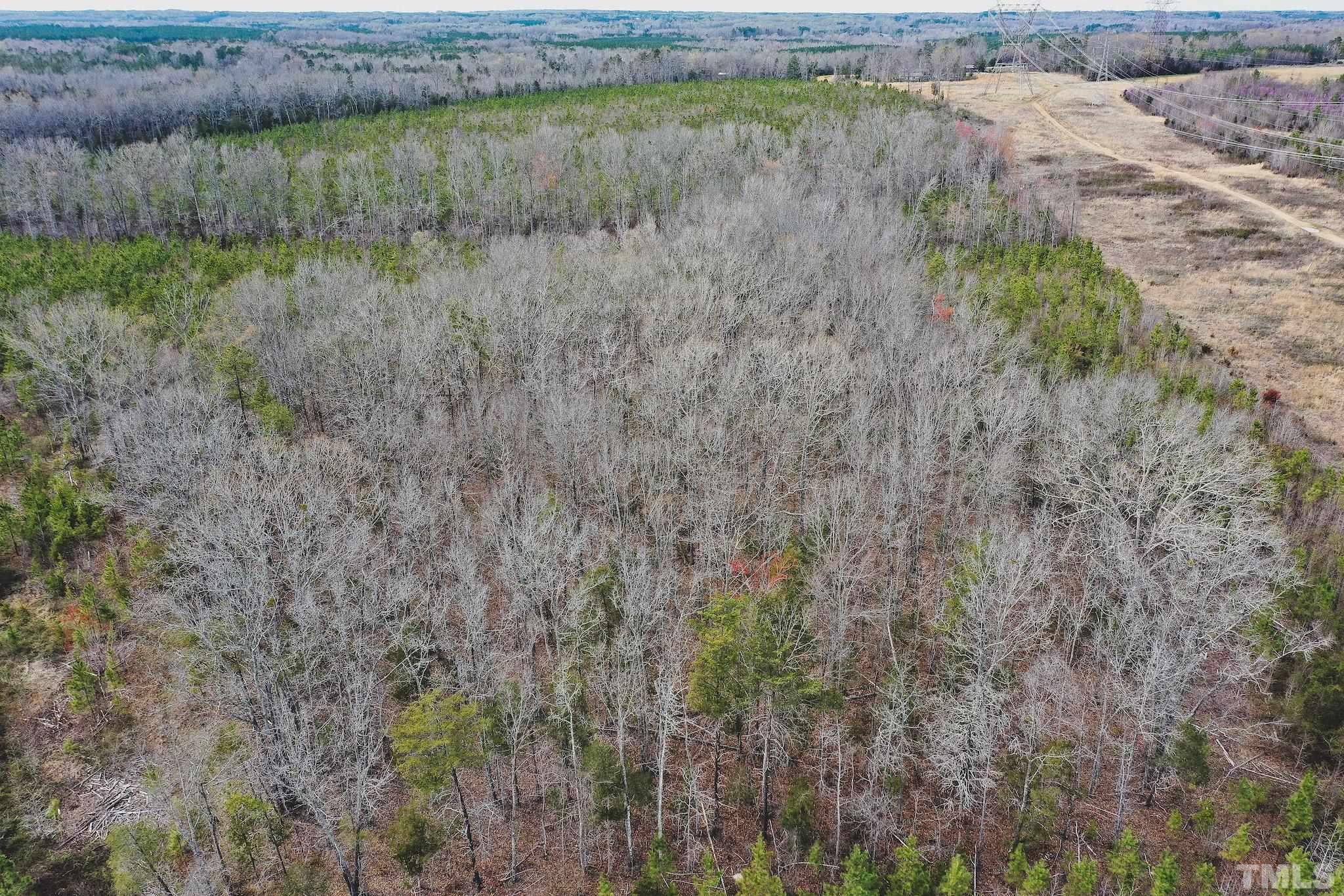 103-ac Pulliam-Tingen Mine Road Roxboro, NC 27574 - Photo 8 of 30 a view of a yard