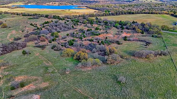 a view of a dry yard with trees