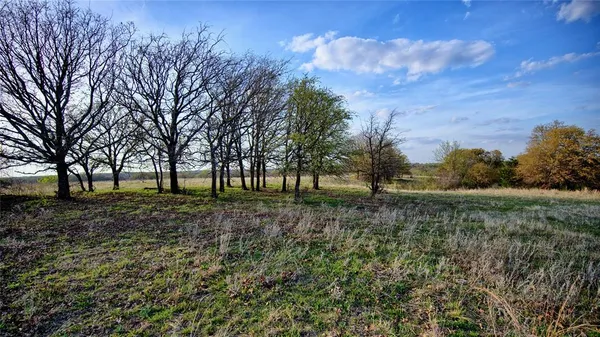a view of outdoor space with trees
