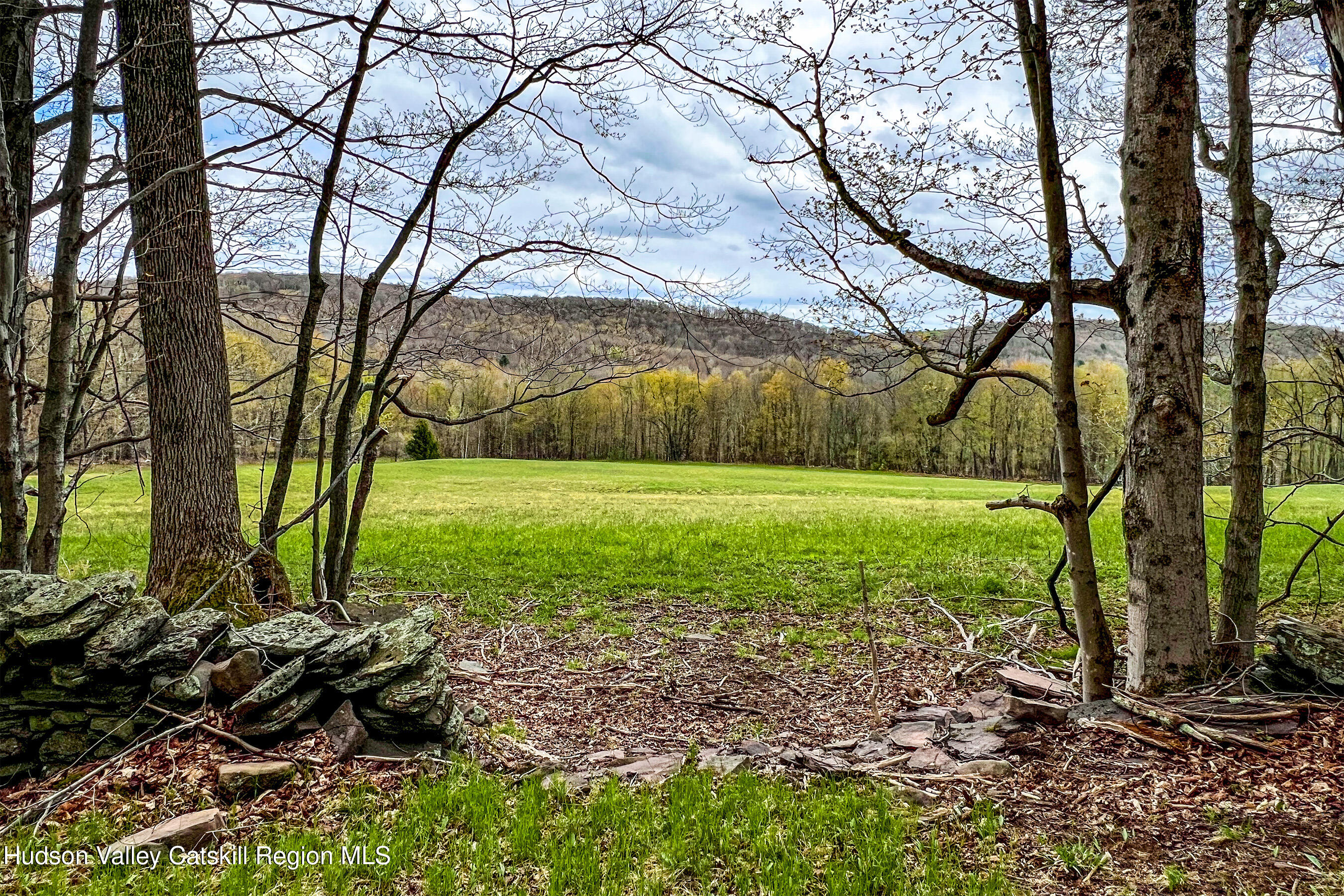 0 Brownell Road Bloomville, NY 13739 - Photo 23 of 39 23 acres Brownell Rd -- 021