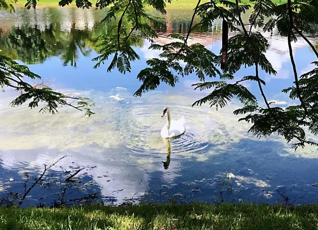 a lake view with beach