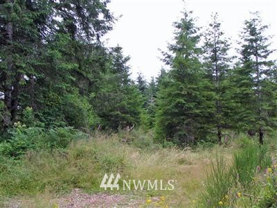 4 West Matlock-Brady Road Elma, WA 98541 - Photo 1 of 1 Gallery Image 1