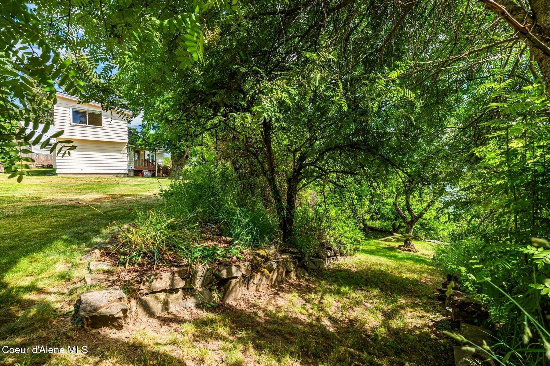 523 Big Hill Road Hope, ID 83836 - Photo 43 of 57 Hidden Fruit Trees