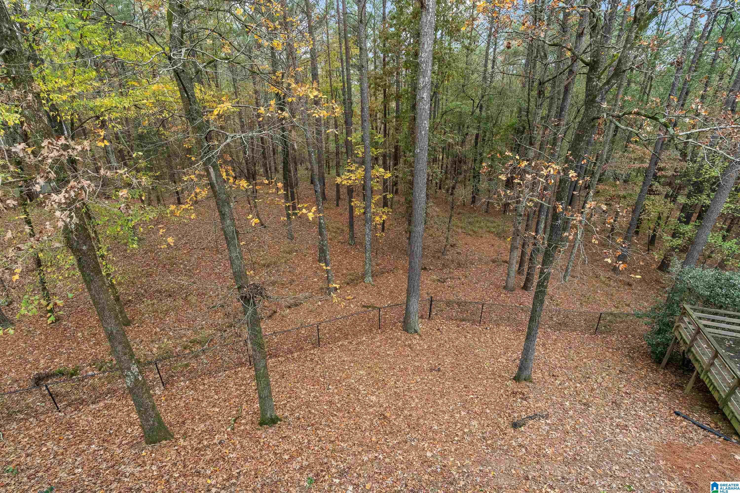 109 Trumpington Way Pelham, AL 35124 - Photo 57 of 77