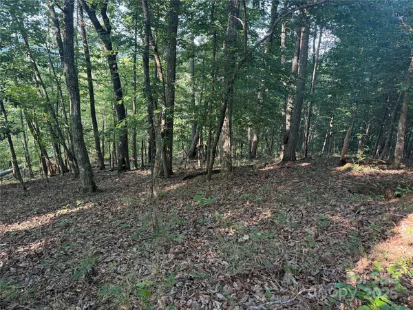 a view of outdoor space with trees