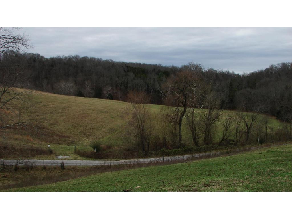 0 Hoover Road Greeneville, TN 37745 - Photo 11 of 23 Photo 11