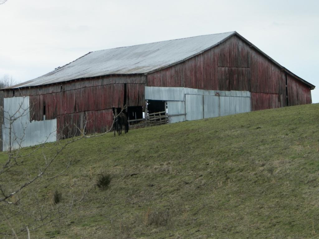 0 Hoover Road Greeneville, TN 37745 - Photo 13 of 23 Photo 13