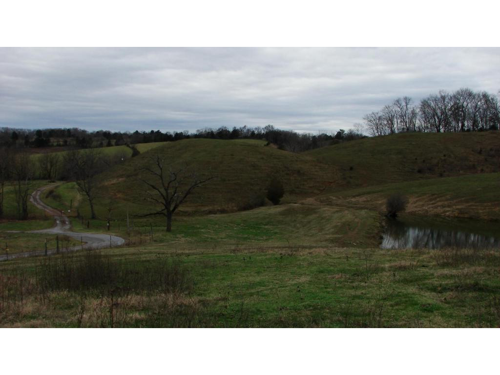 0 Hoover Road Greeneville, TN 37745 - Photo 2 of 23 Photo 2