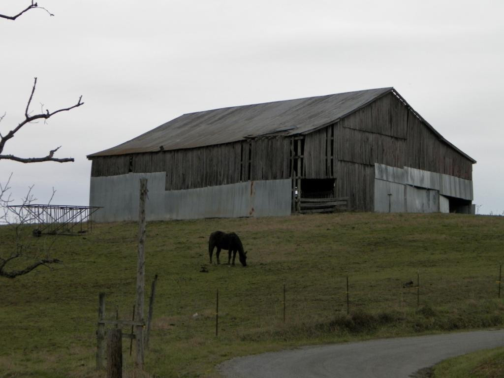 0 Hoover Road Greeneville, TN 37745 - Photo 22 of 23 Photo 22