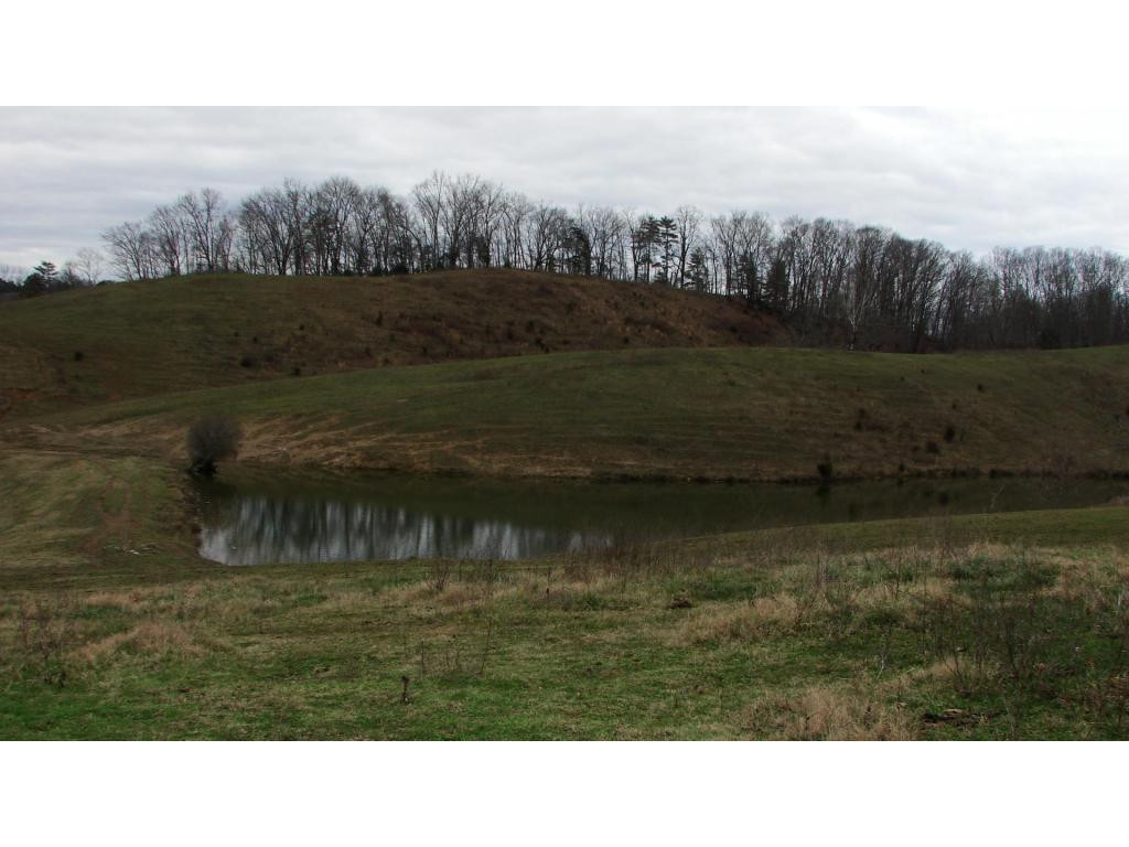 0 Hoover Road Greeneville, TN 37745 - Photo 3 of 23 Photo 3