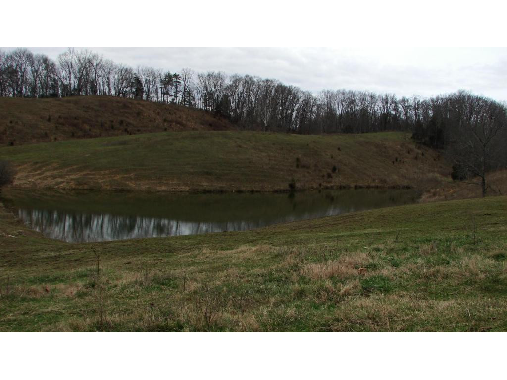 0 Hoover Road Greeneville, TN 37745 - Photo 4 of 23 Photo 4