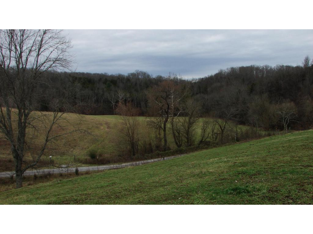 0 Hoover Road Greeneville, TN 37745 - Photo 9 of 23 Photo 9