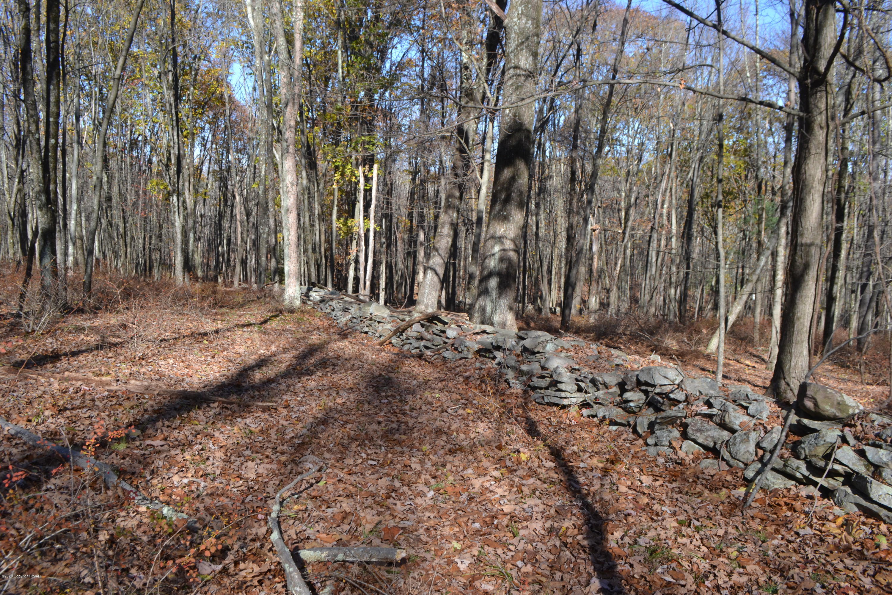 a view of outdoor space with trees