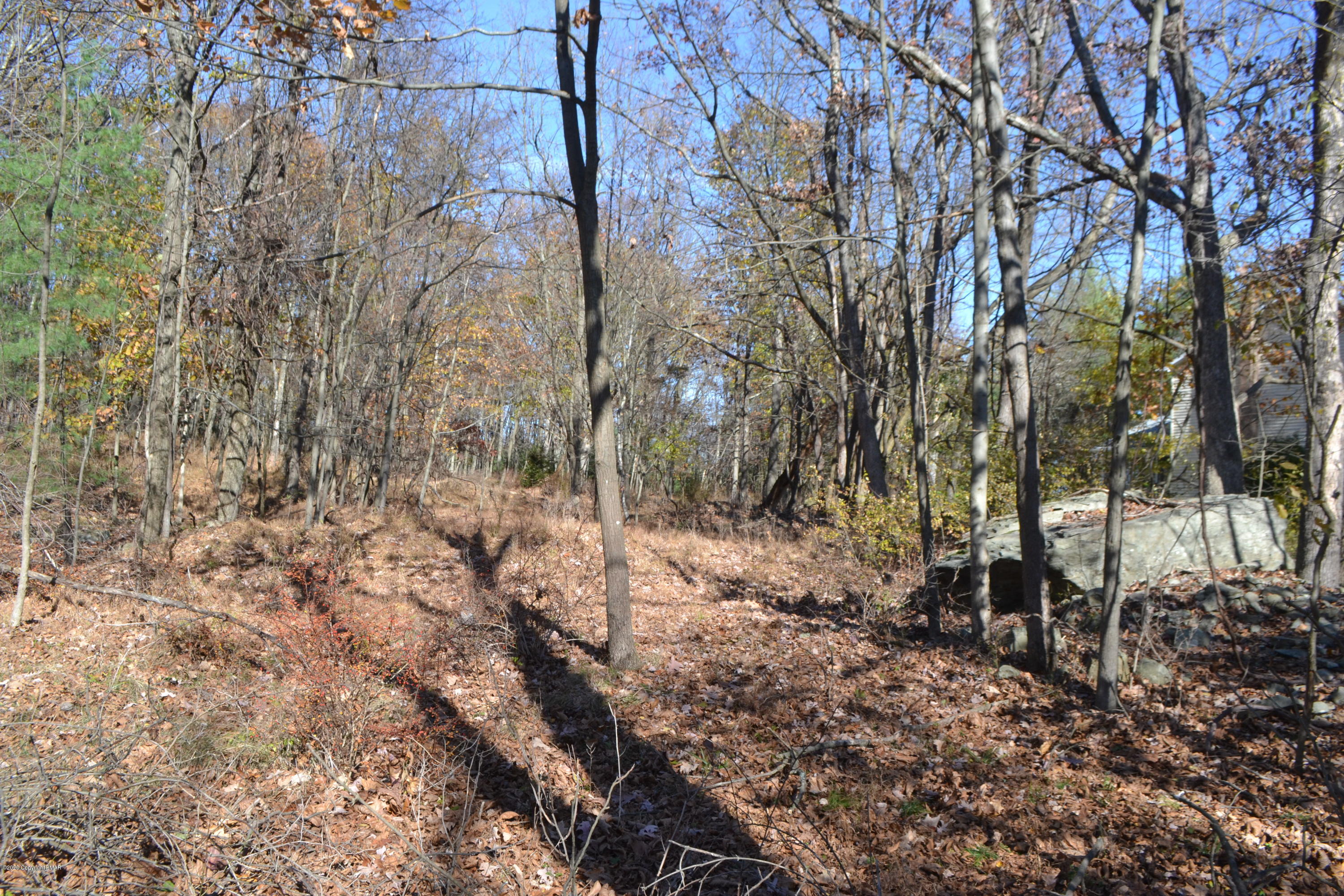 Frantz Hill Road Scotrun, PA 18355 - Photo 11 of 16 a view of a forest with trees