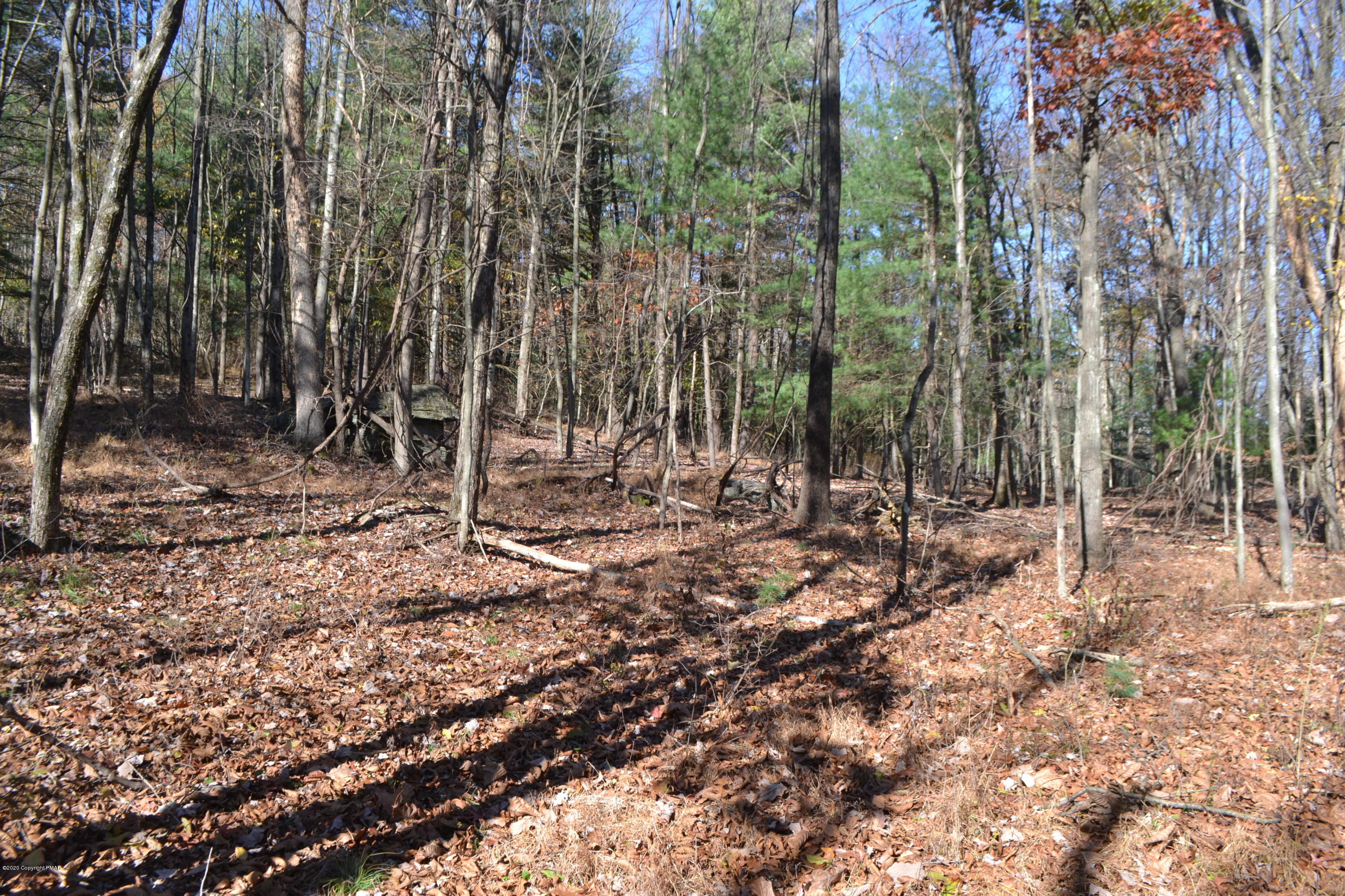 Frantz Hill Road Scotrun, PA 18355 - Photo 4 of 16 a view of outdoor space with lots of trees
