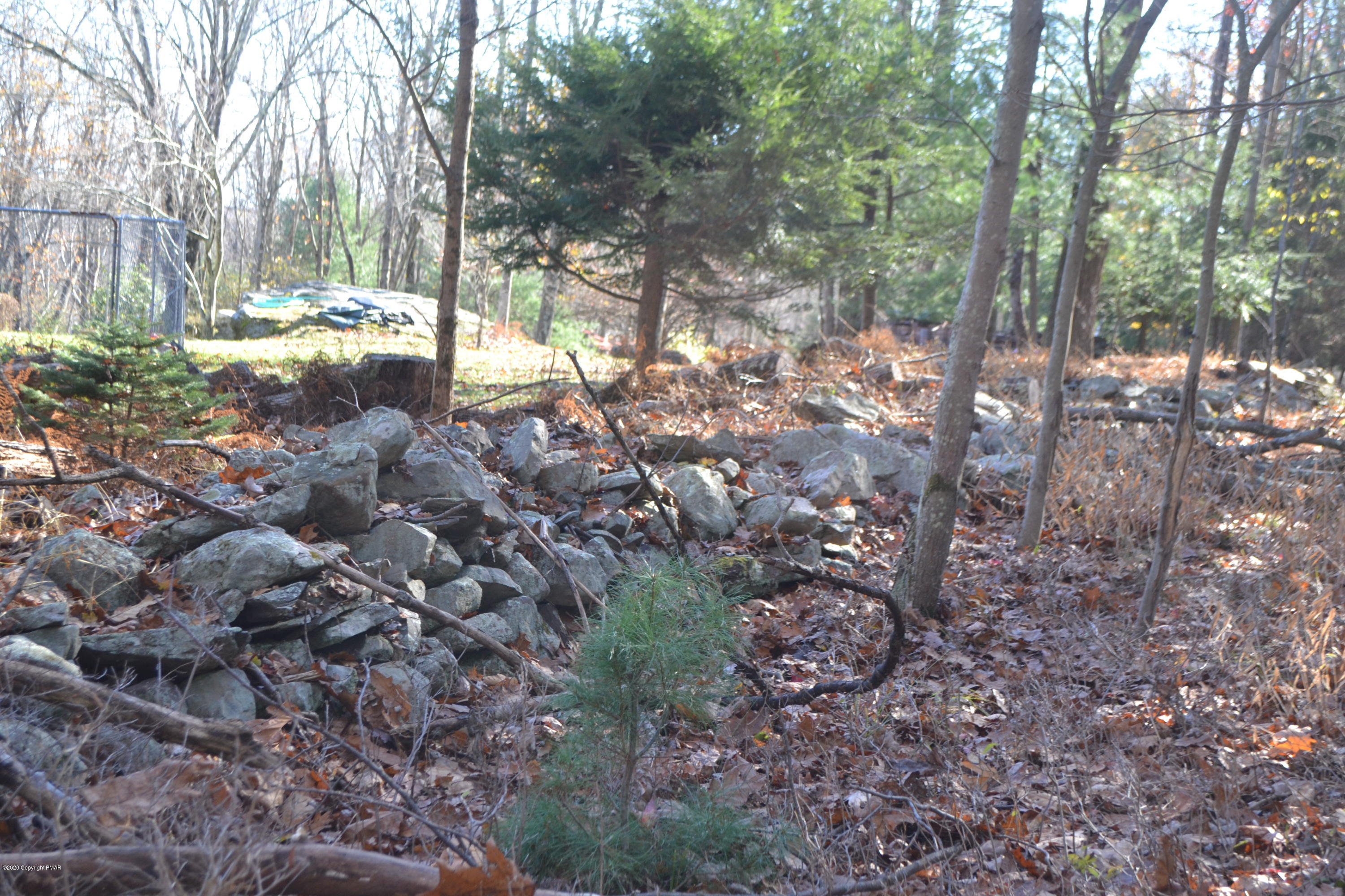 Frantz Hill Road Scotrun, PA 18355 - Photo 5 of 16 a view of a forest filled with trees