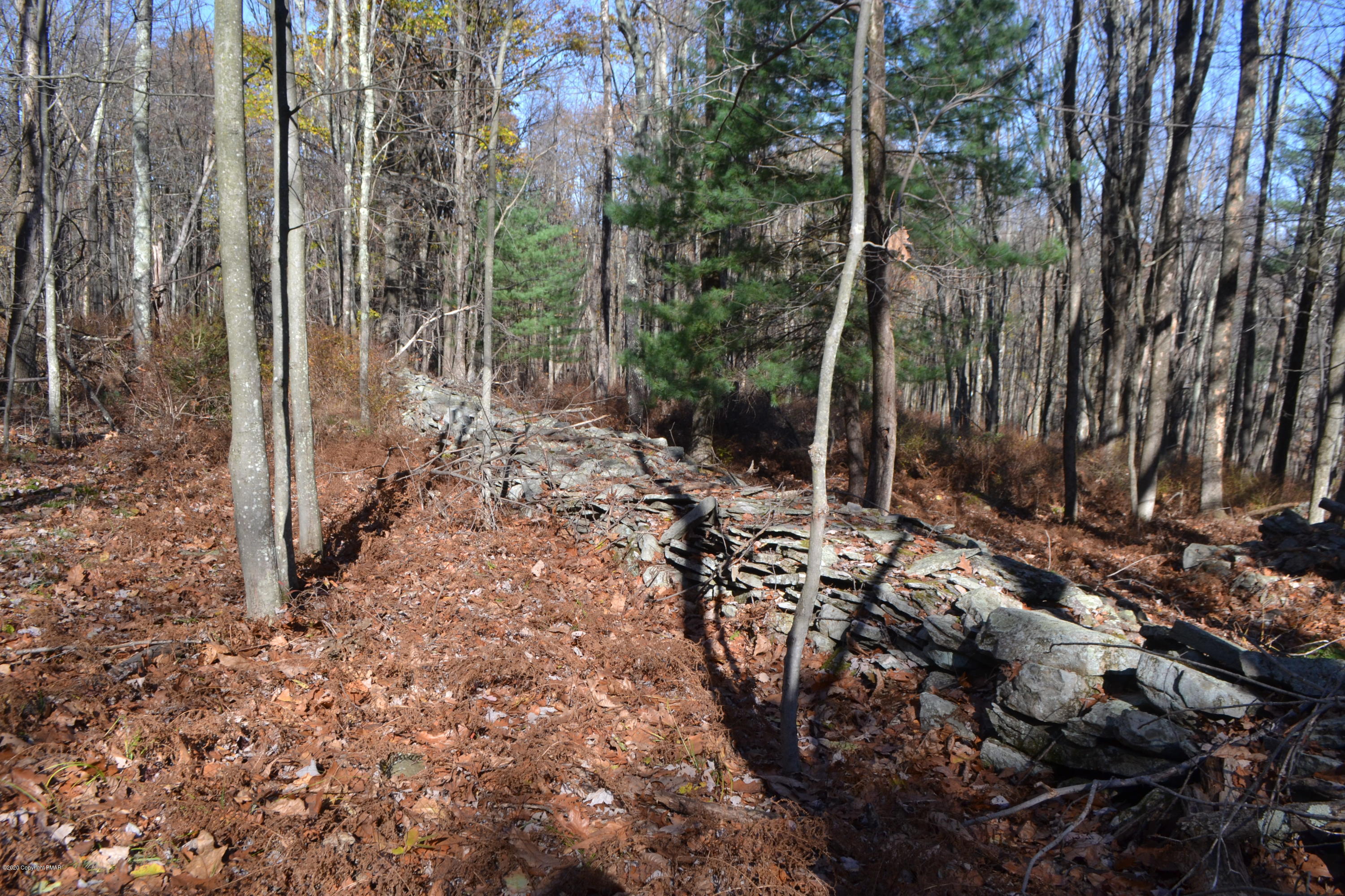 Frantz Hill Road Scotrun, PA 18355 - Photo 8 of 16 a view of a forest with trees