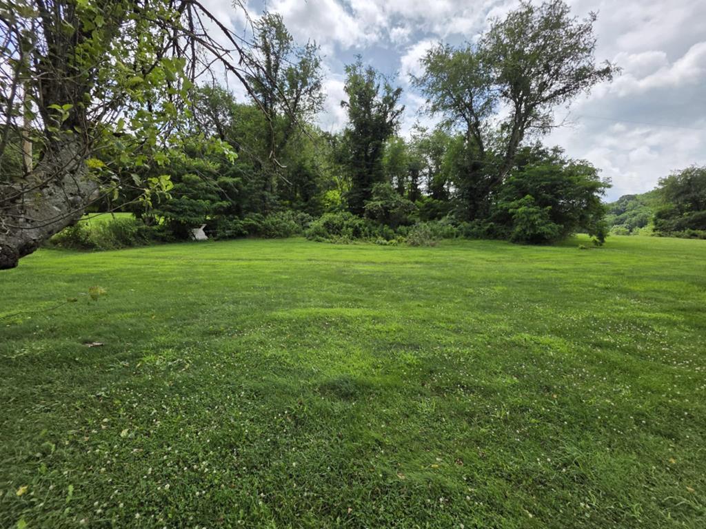263 Knight Road Rural Retreat, VA 24368 - Photo 8 of 20 Gallery Image 8