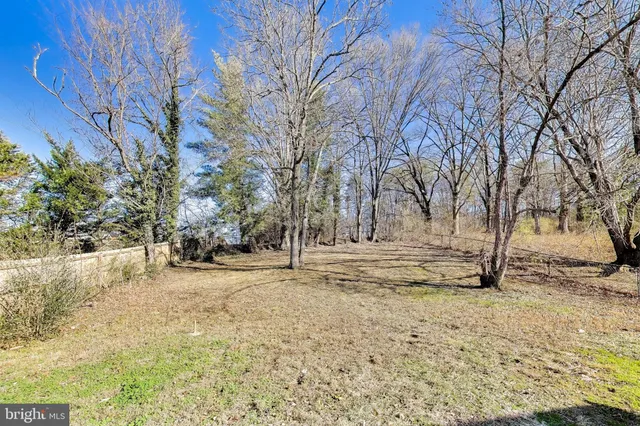 a view of empty space with large trees