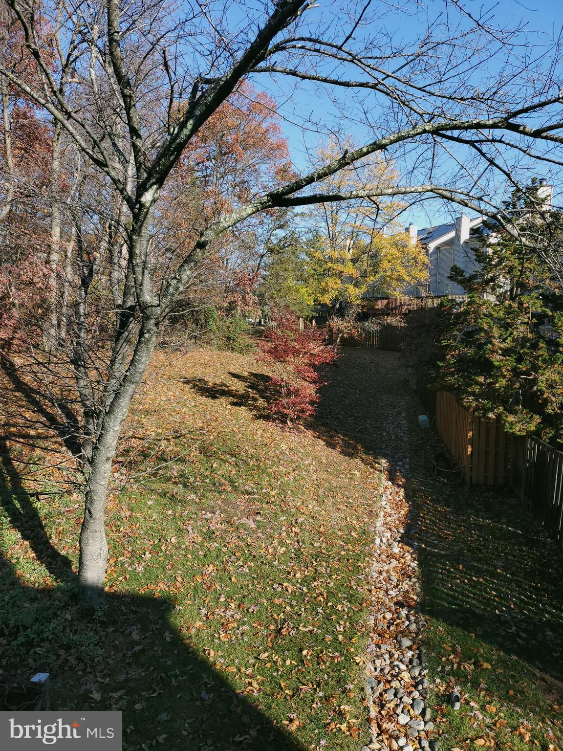14522 Cambridge Circle Laurel, MD 20707 - Photo 14 of 15 a view of a yard
