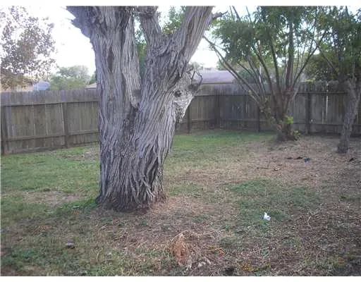 a view of a backyard with large trees and wooden fence
