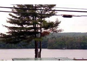 23 Depot Pond Road Milton, NH 03851 - Photo 7 of 8 Gallery Image 7