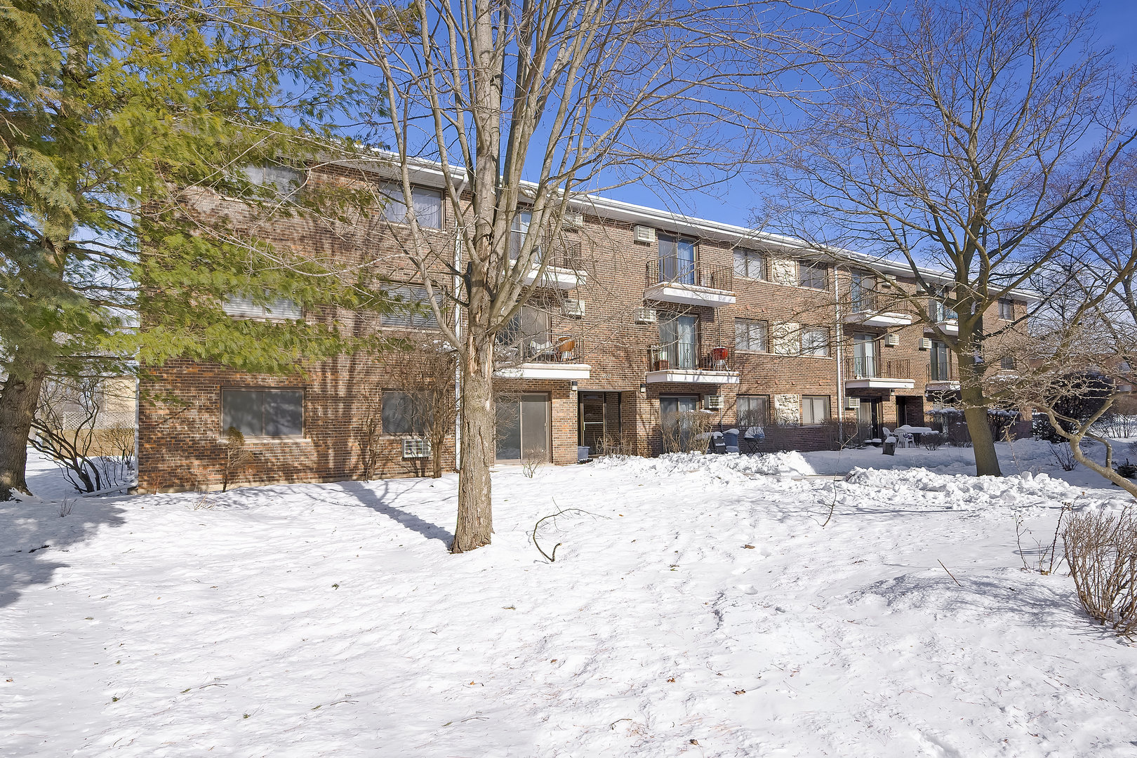 1220 South Lorraine Road, Unit 1A Wheaton, IL 60189 - Photo 15 of 17 Gallery Image 15