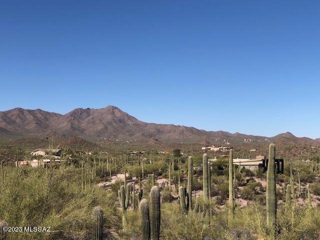5110 West Rhyolite Loop Tucson, AZ 85745 - Photo 19 of 22 Gallery Image 19