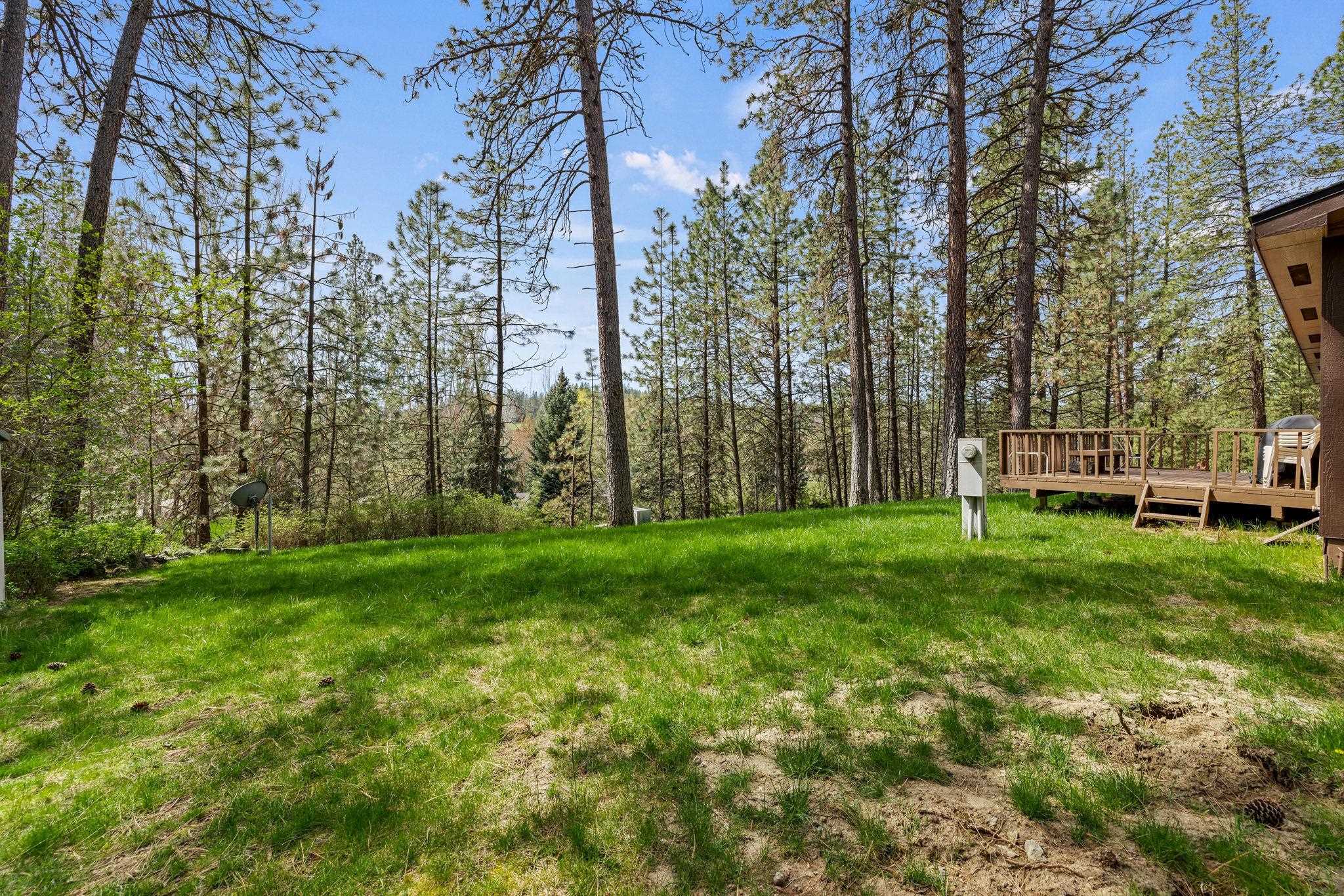 10709 South Hangman Valley Road Spokane, WA 99223 - Photo 29 of 48