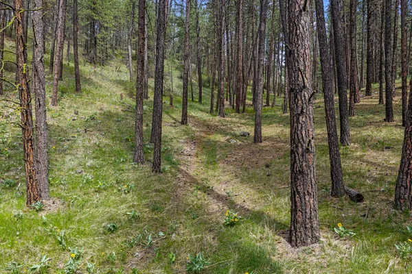 $415,000 | 10709 South Hangman Valley Road, Spokane, WA 99223