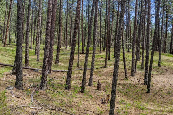 $415,000 | 10709 South Hangman Valley Road, Spokane, WA 99223