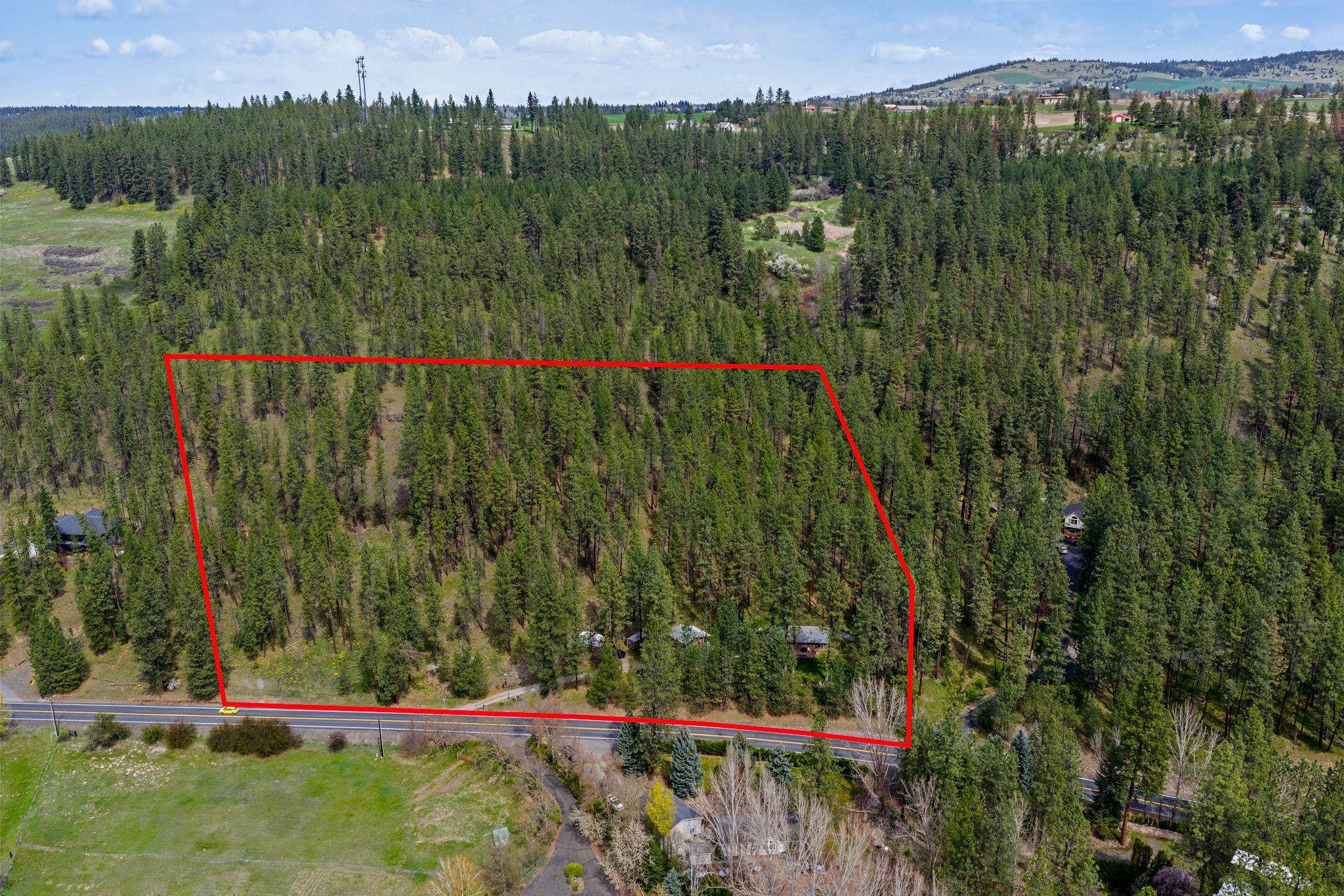 10709 South Hangman Valley Road Spokane, WA 99223 - Photo 4 of 48