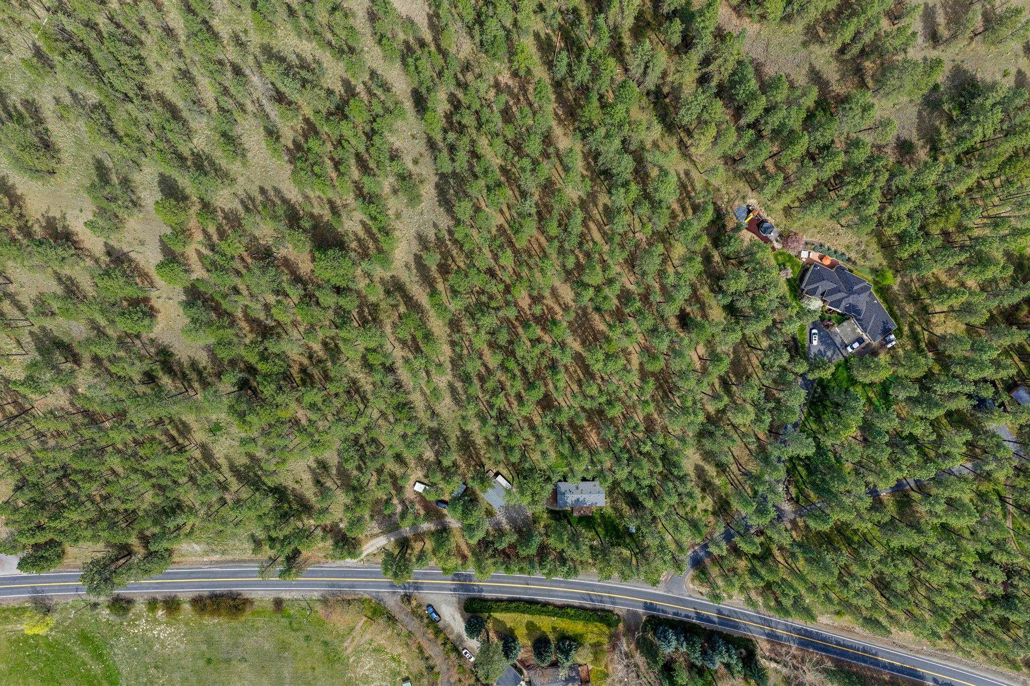 10709 South Hangman Valley Road Spokane, WA 99223 - Photo 44 of 48