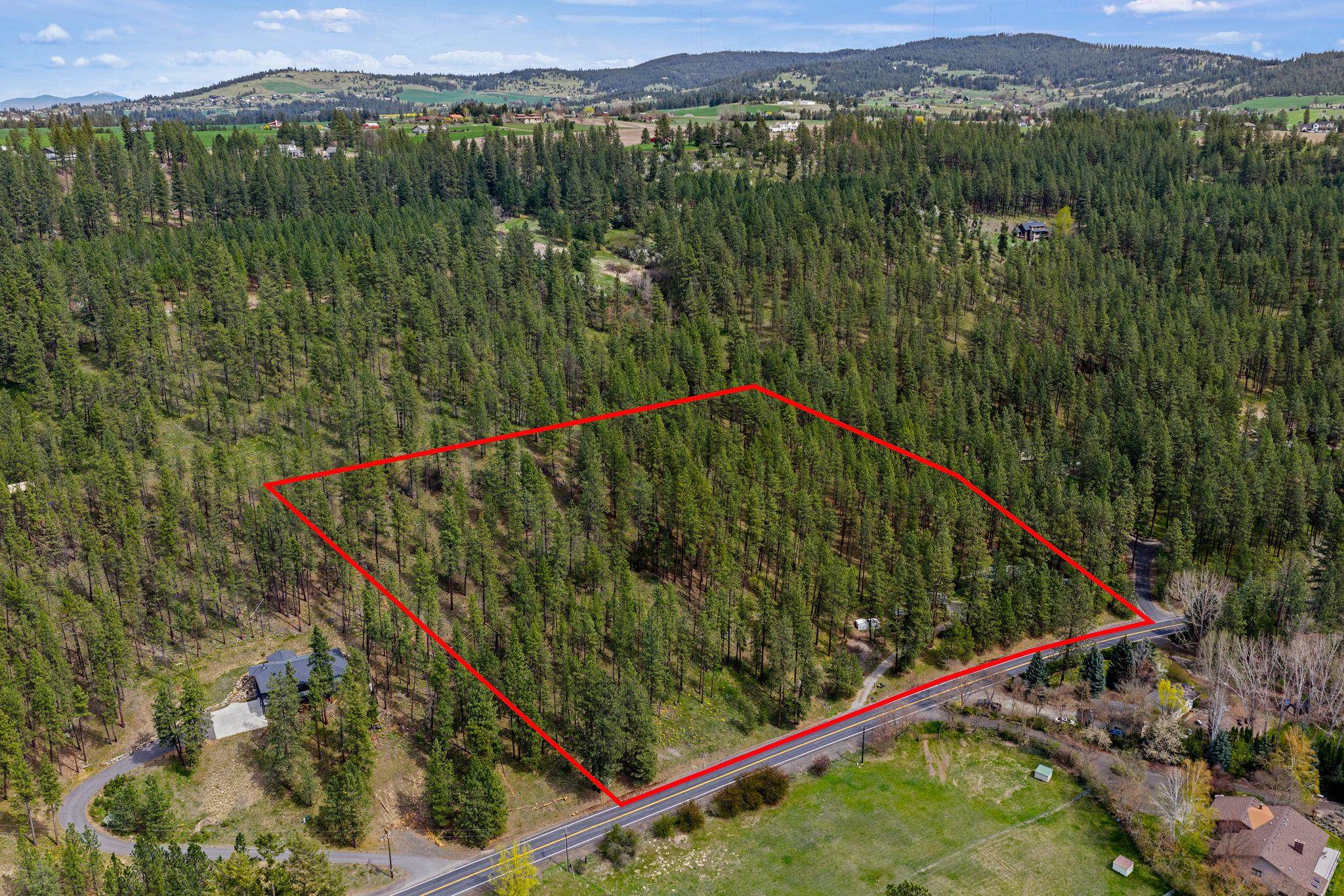 10709 South Hangman Valley Road Spokane, WA 99223 - Photo 5 of 48