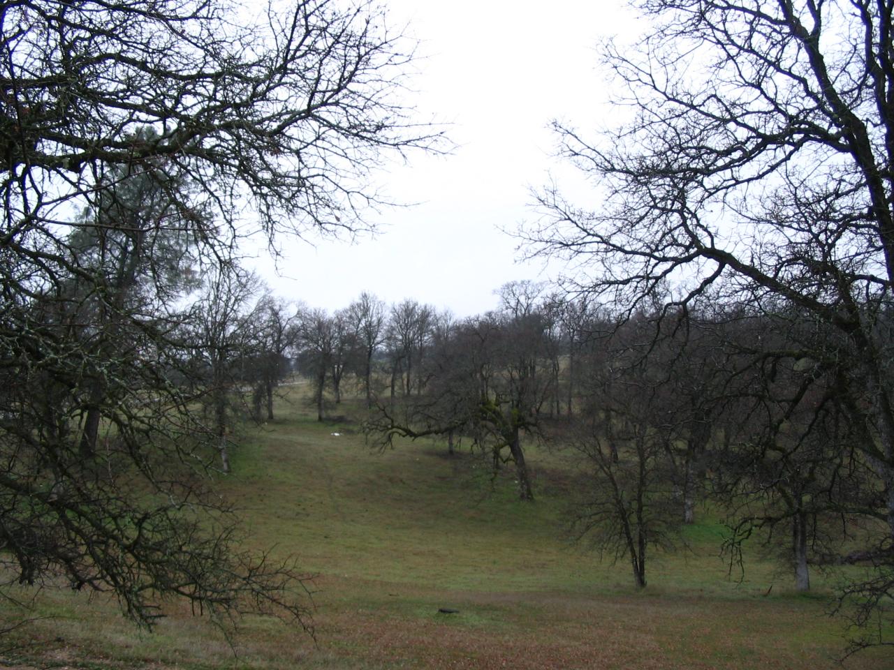 13755 Gas Point Road Igo, CA 96047 - Photo 11 of 14 View from Back Deck