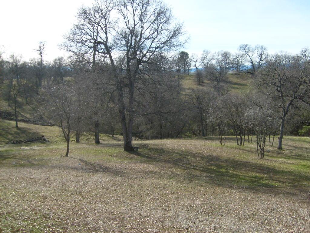 13755 Gas Point Road Igo, CA 96047 - Photo 13 of 14 Property
