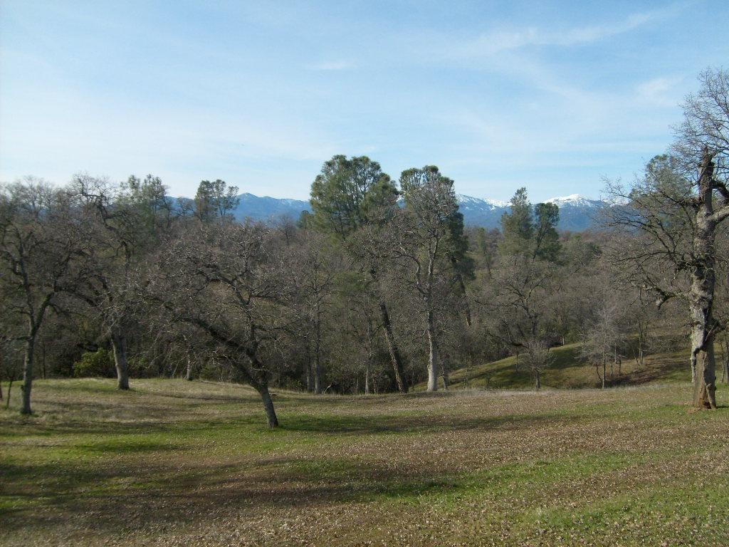 13755 Gas Point Road Igo, CA 96047 - Photo 14 of 14 Property
