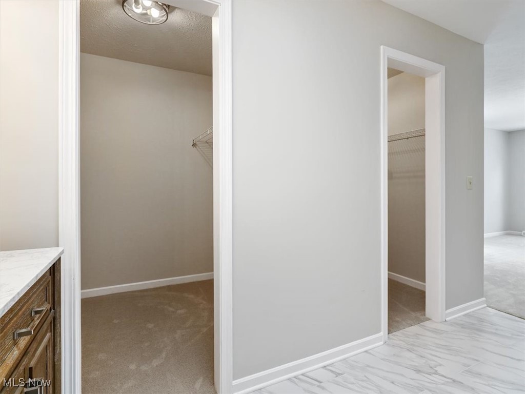 6691 Morley Road Painesville, OH 44077 - Photo 21 of 48 2 walk in closets