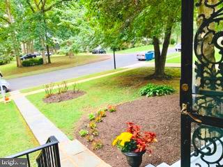 7902 Falstaff Road McLean, VA 22102 - Photo 7 of 76 Beautiful, level .32 Acre yard!