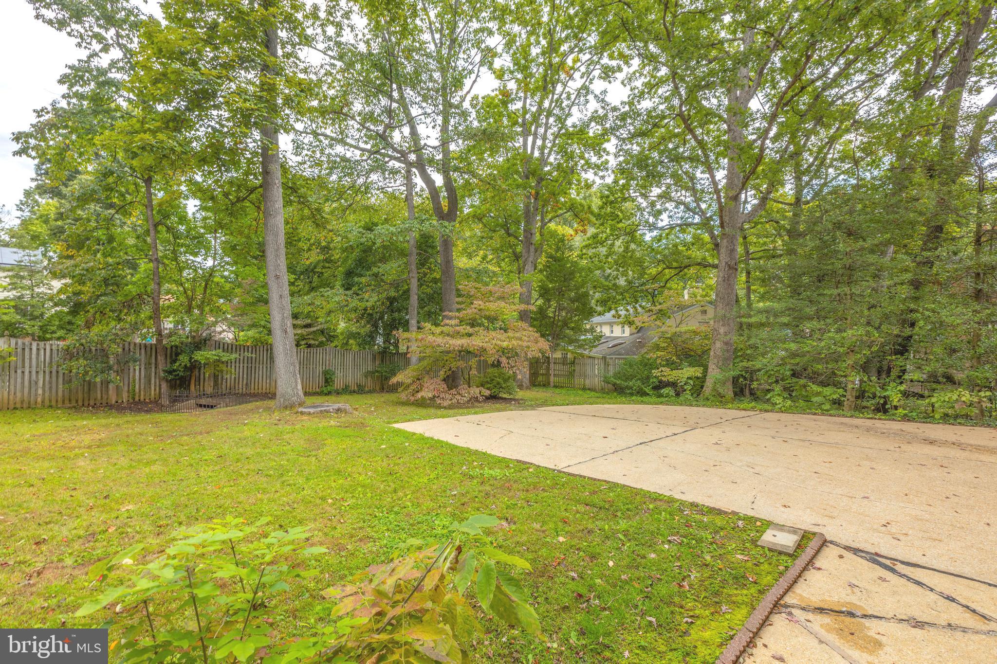 7902 Falstaff Road McLean, VA 22102 - Photo 8 of 76 Fantastic Spacious Yard!