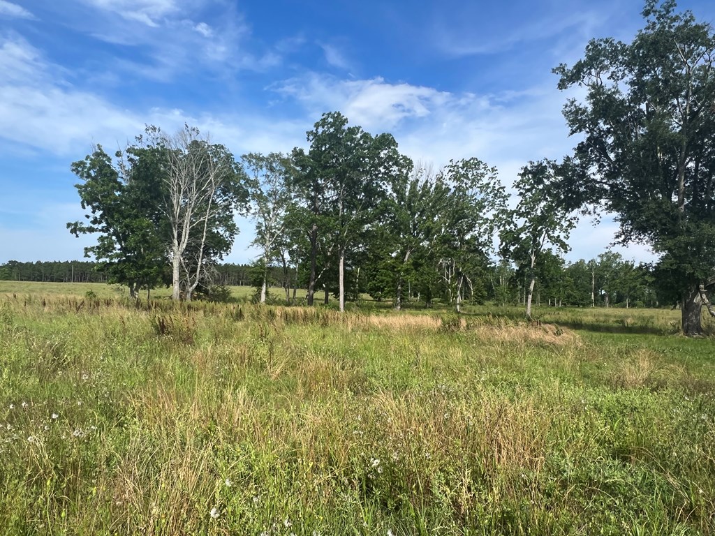 11.30-acres J Saunders Road Dothan, AL 36303 - Photo 2 of 3