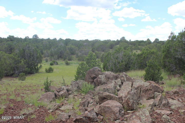 29 Co Road Show Low, AZ 85901 - Photo 19 of 23 Gallery Image 19