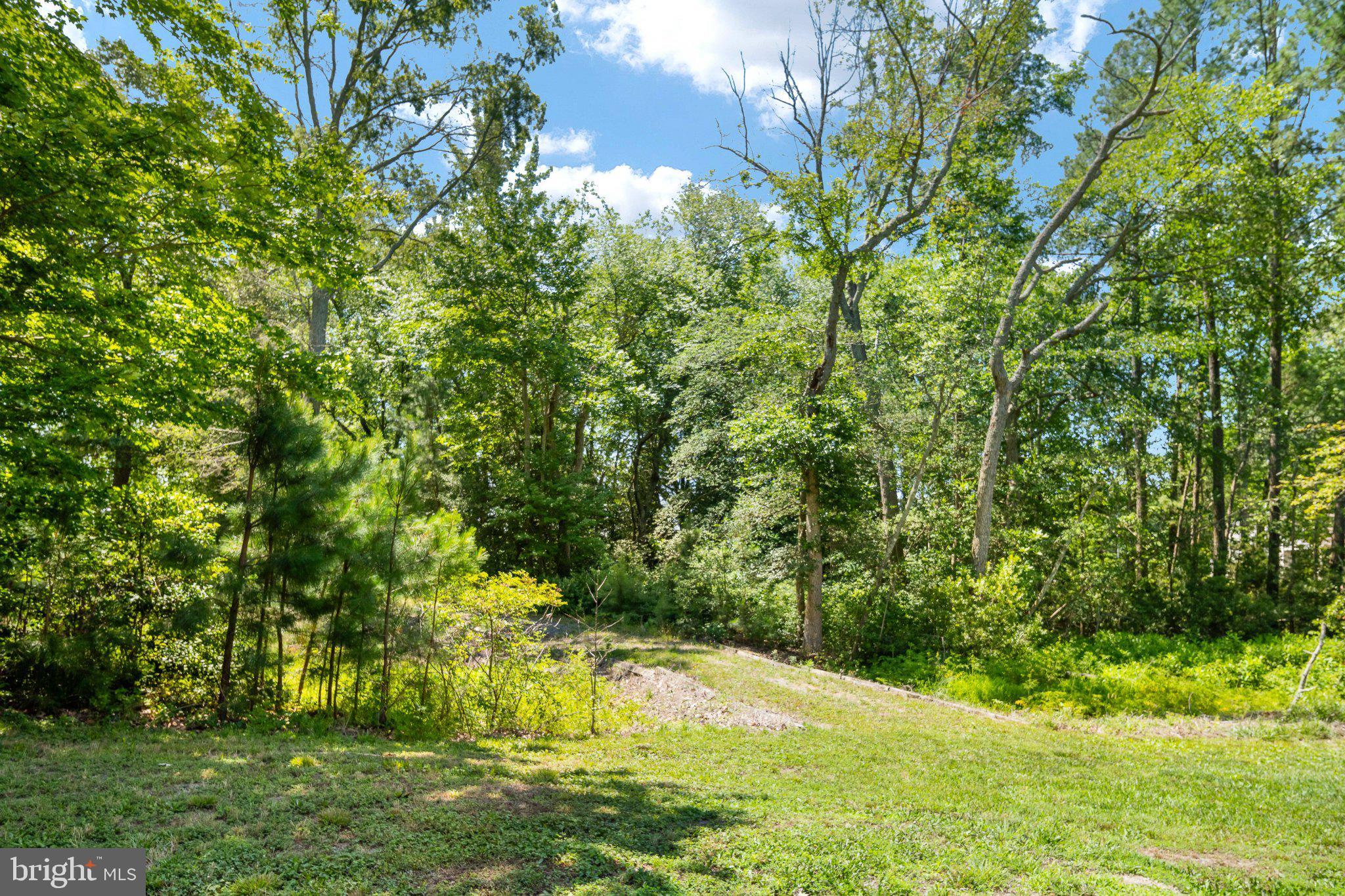 279 Harbor Drive Reedville, VA 22539 - Photo 84 of 97 Private setting