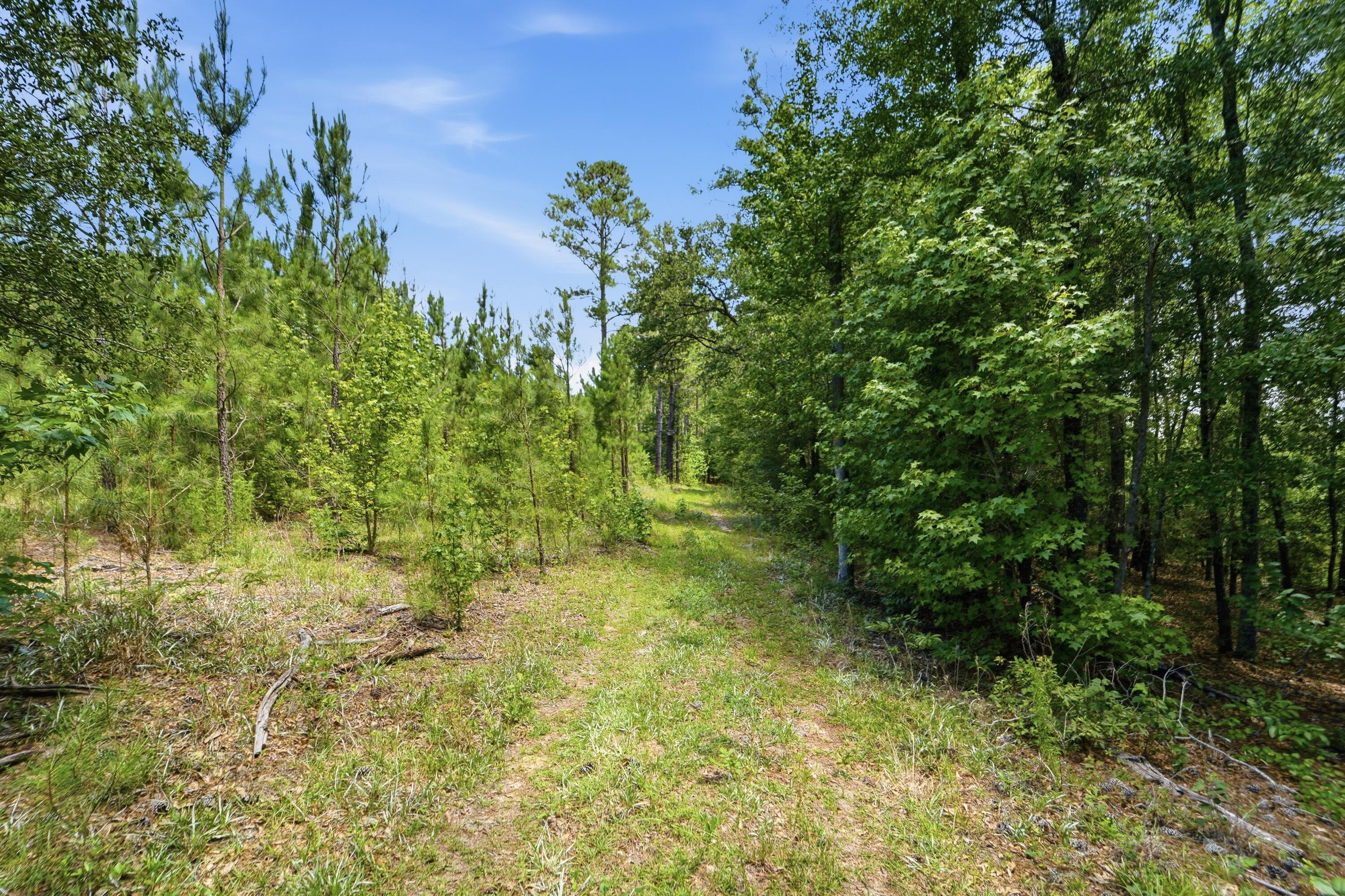 1530 Catfish Lane Manning, SC 29102 - Photo 27 of 37 wooded lot