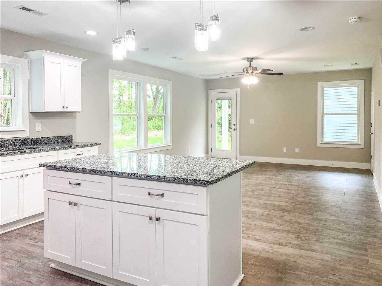 819 Pirate Cove Inman, SC 29349 - Photo 4 of 15