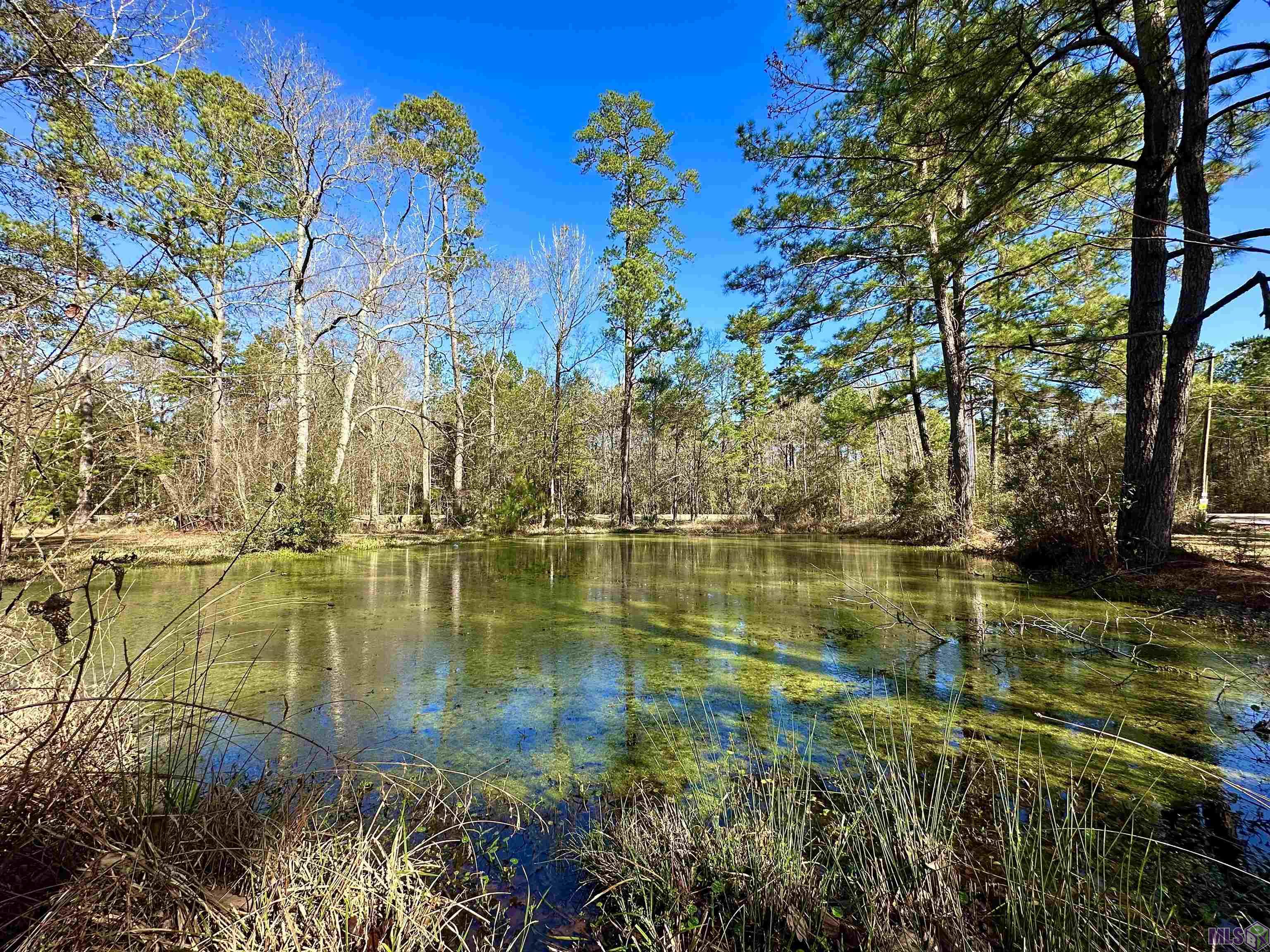 B-3-b-4 Perkins Road Denham Springs, LA 70706 - Photo 1 of 4 Gallery Image 1